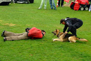 vystoupeni policie.jpg