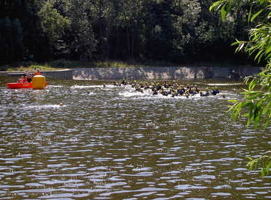 PICT0007.jpg